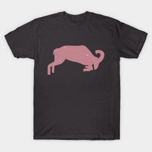 Aries minimalist T-Shirt